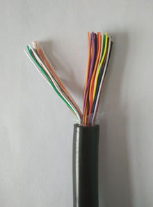ZR DJYPV 1 2 1.5 1 3 1.5电缆 产品图片