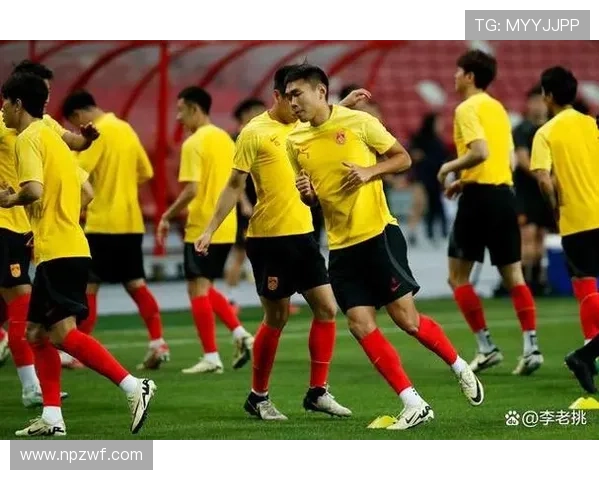 中国足球再次迎来历史性突破 国足进军世界杯决赛圈全程回顾