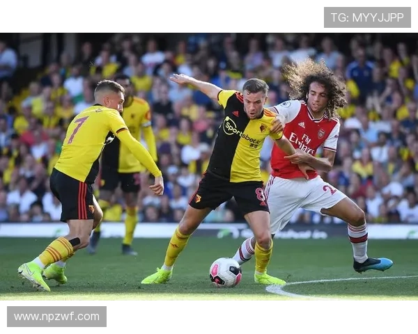 沃特福德足球俱乐部历史发展与未来展望分析