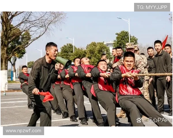 全国体育赛事激战正酣多队展现极限竞技精神与团结奋进力量风采足